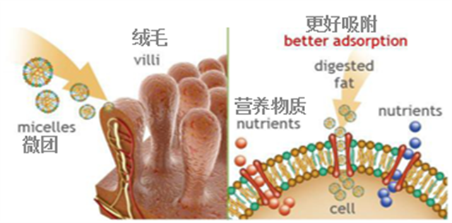 �������Ӽ�