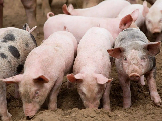 �＾������Ҫע��ʲô���������ƺ���Ҫ��һ��Ҫ�������ĵ�