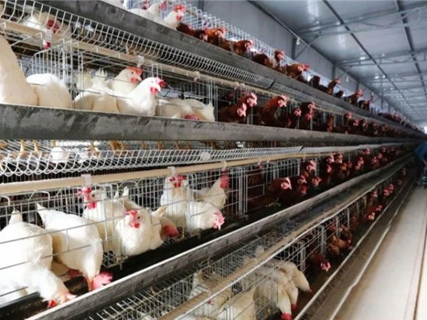 �����������½���ô����