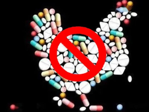 ��������������ϲ�ǲΰ룻�����Ż��������ƽ�������������