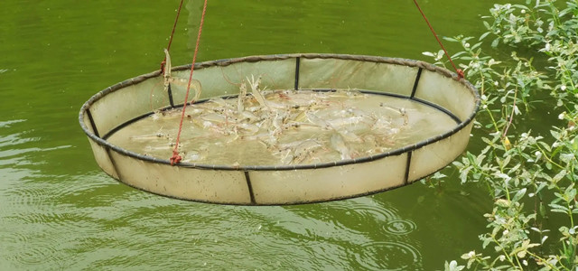 ��Ϻ���Ƶ�����