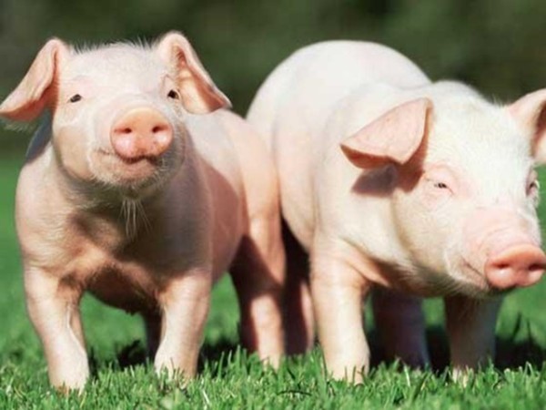 �ʰ���������������ʹ����ʲô�ô����б�Ҫȫ�����������������