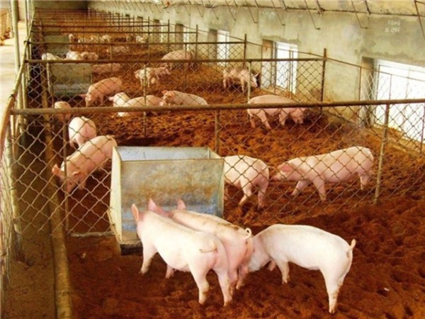 ����Ӧ�������ح�ڶ����� �Ż���������