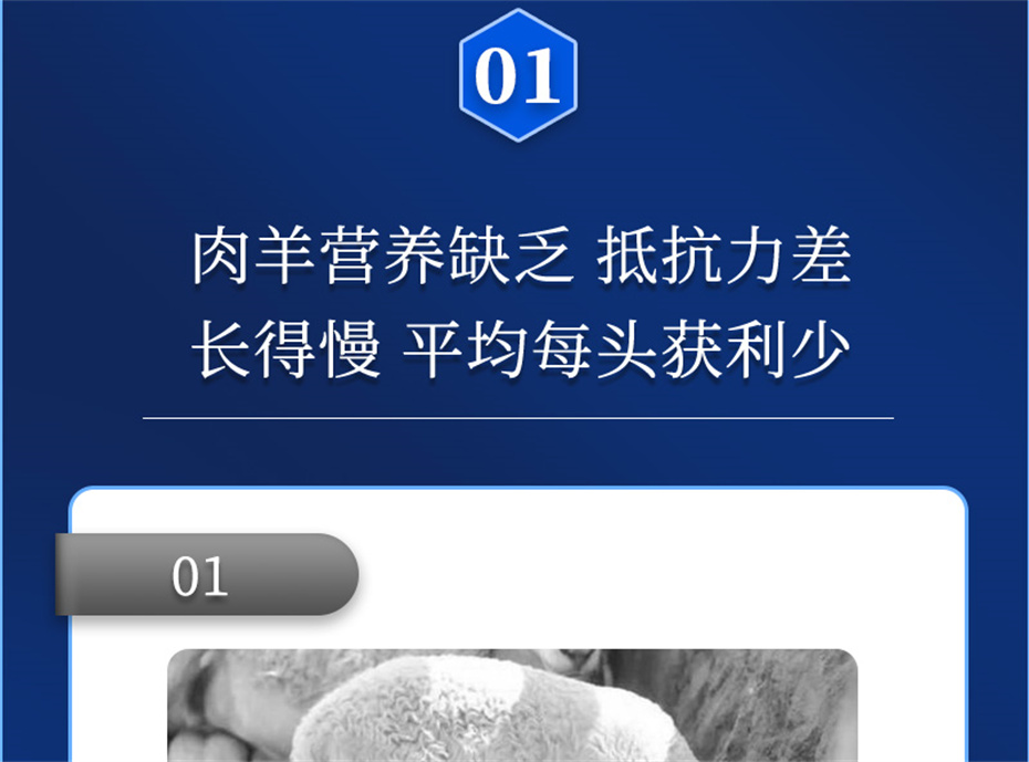 bbin��ӯ�������������Ӽ��������Ʒ����