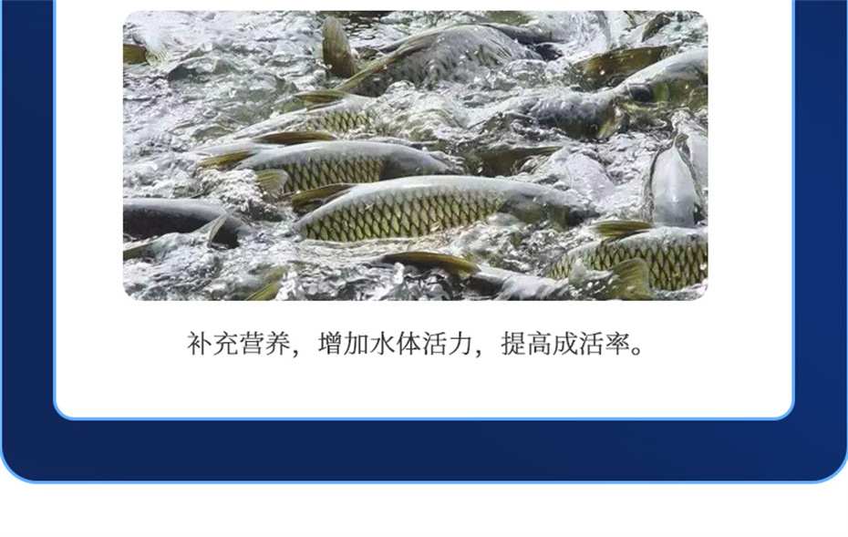 bbin��ӯ����ˮ���������Ӽ�ά��1�Ų�Ʒ����