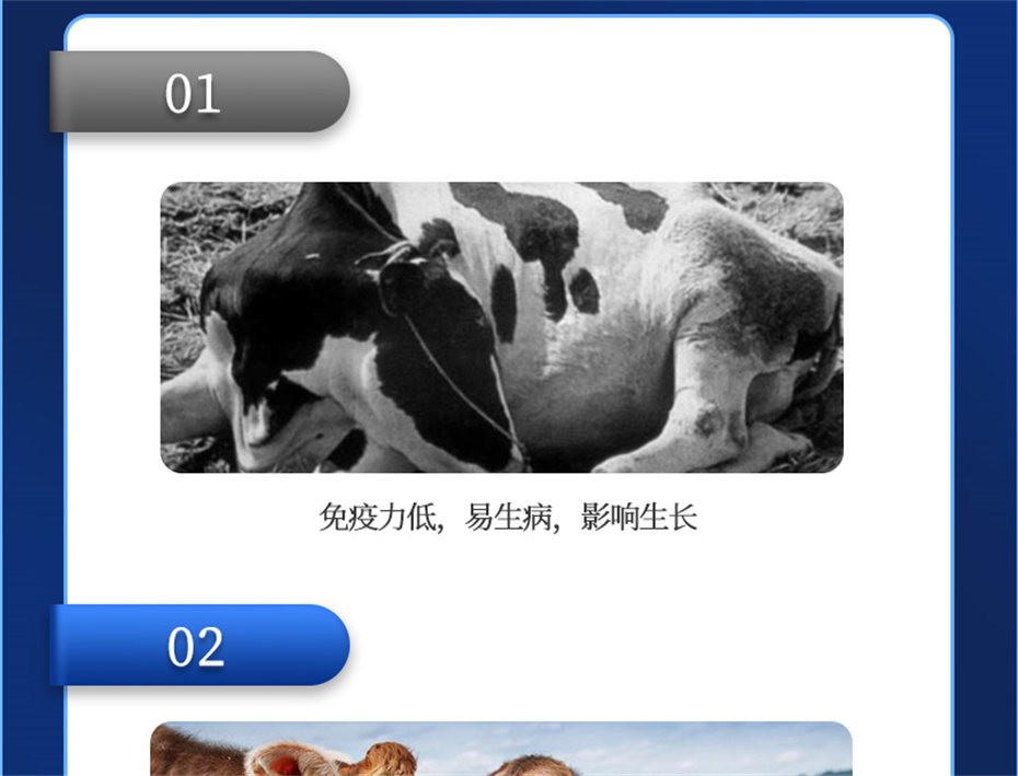 bbin��ӯ����ţ���������Ӽ�����Ѫţ���Ʒ����