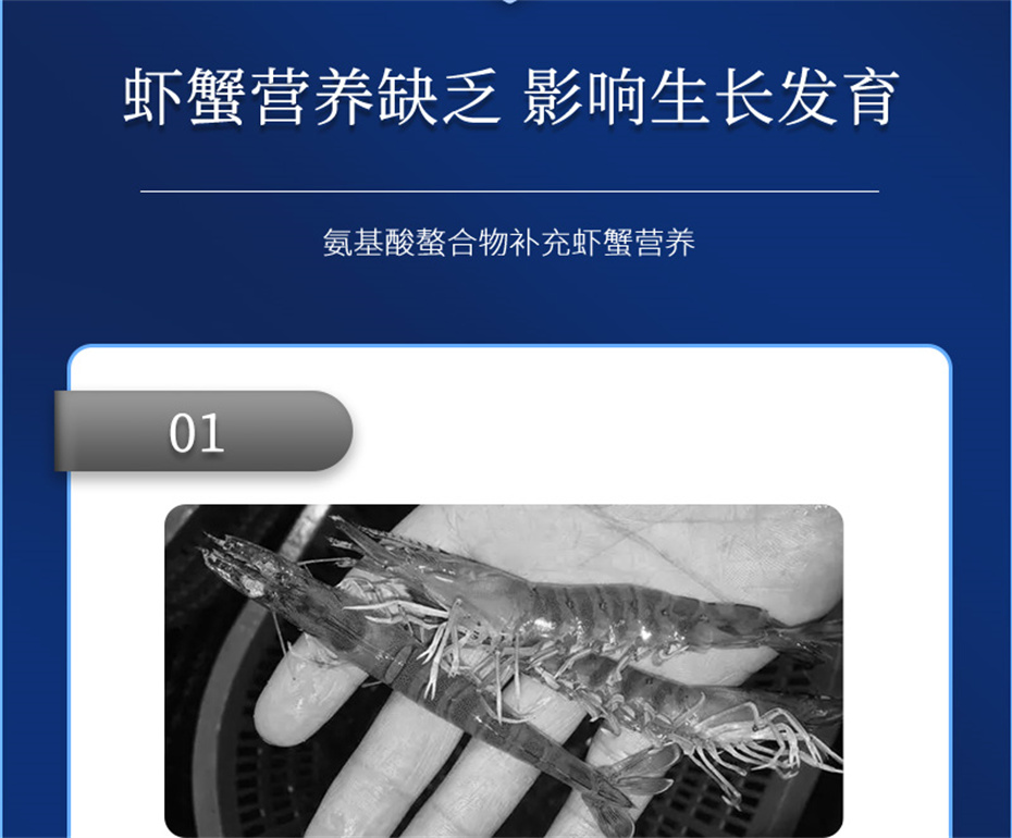 bbin��ӯ����ˮ���������Ӽ�Ϻ������Ʒ����