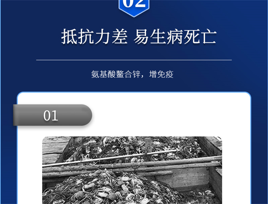 bbin��ӯ����ˮ���������Ӽ�Ϻ������Ʒ����