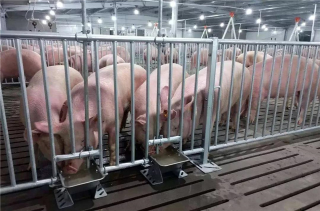 �������Ӽ�