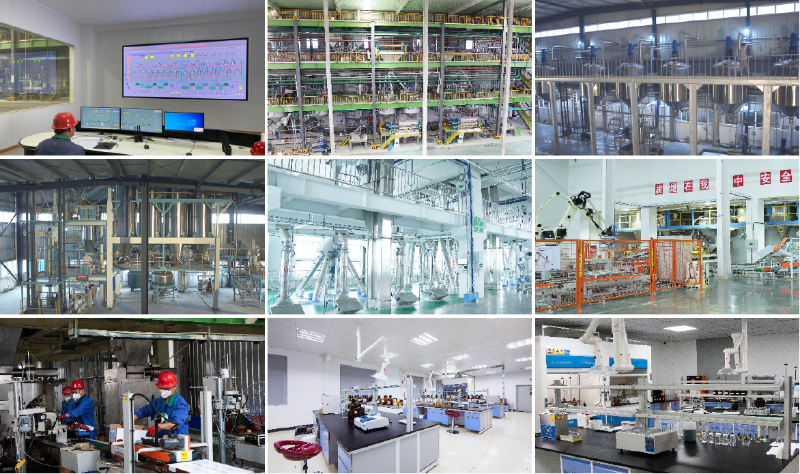 �������Ӽ�����bbin��ӯ