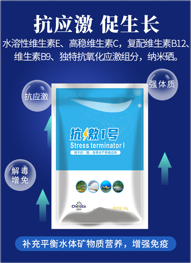 bbin��ӯ����1��