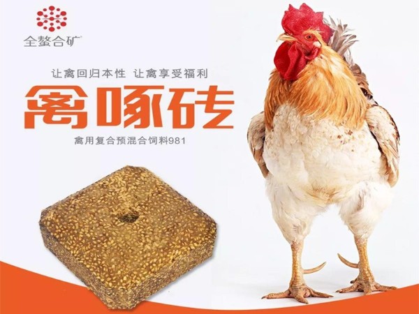 ����ש����������ܸı�ʲô��