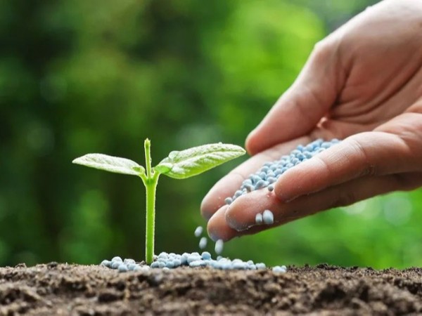 �߲������ʩ����