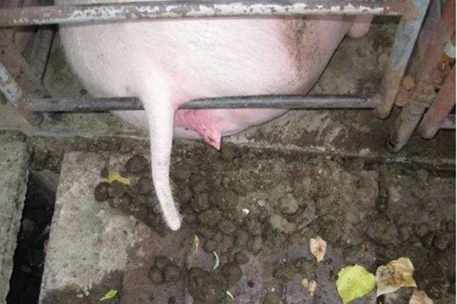 ĸ�����ص�����