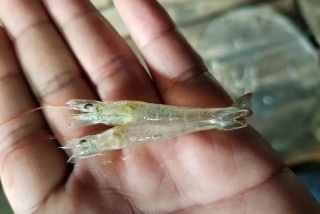 ��Ϻ������ʲôԭ��