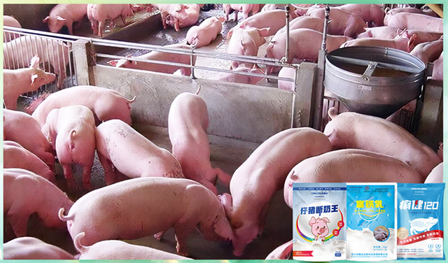 bbin��ӯ�����������Ӽ�