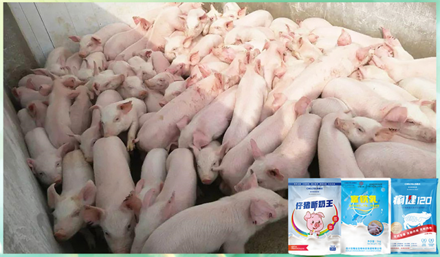 bbin��ӯ�����������Ӽ�