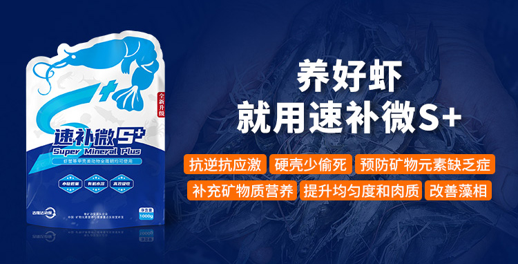 ����Ϻ�������ٲ�΢s+