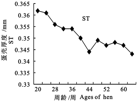 �������Ӽ�