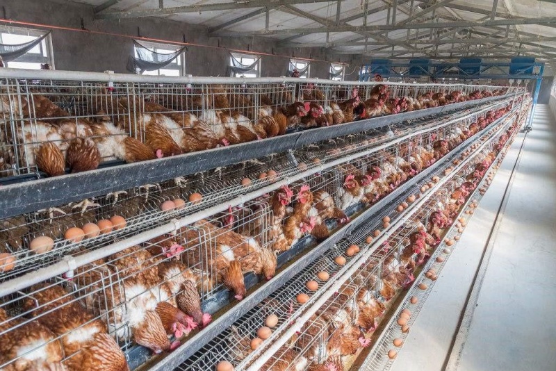 ������������