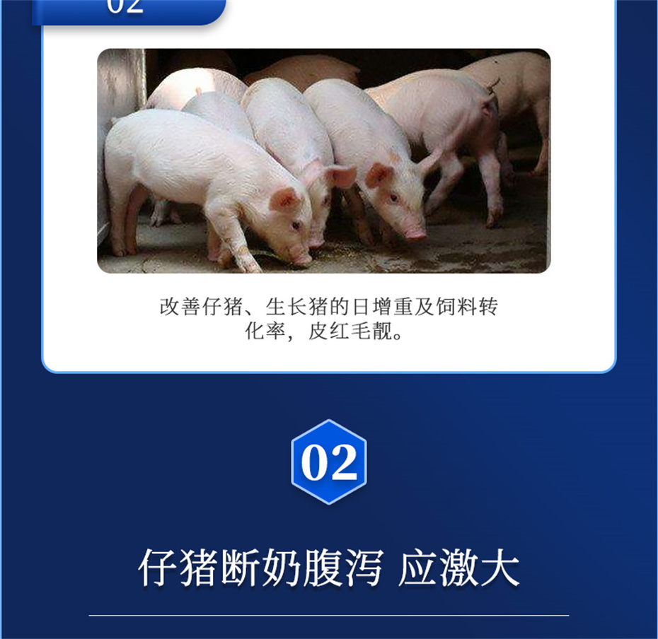 bbin��ӯ�������������Ӽ�������������Ʒ����