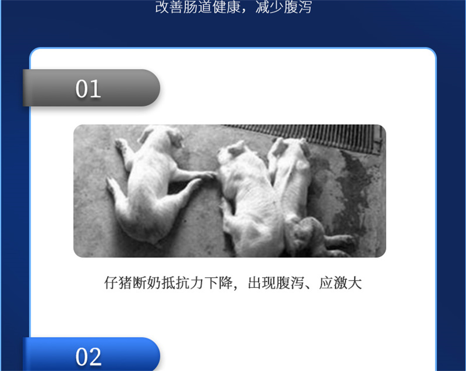 bbin��ӯ�������������Ӽ�������������Ʒ����