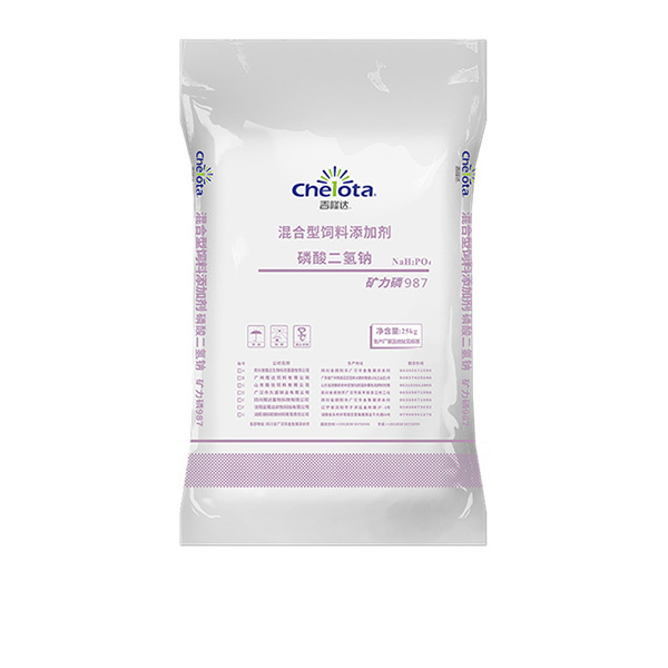 ���������-bbin��ӯ