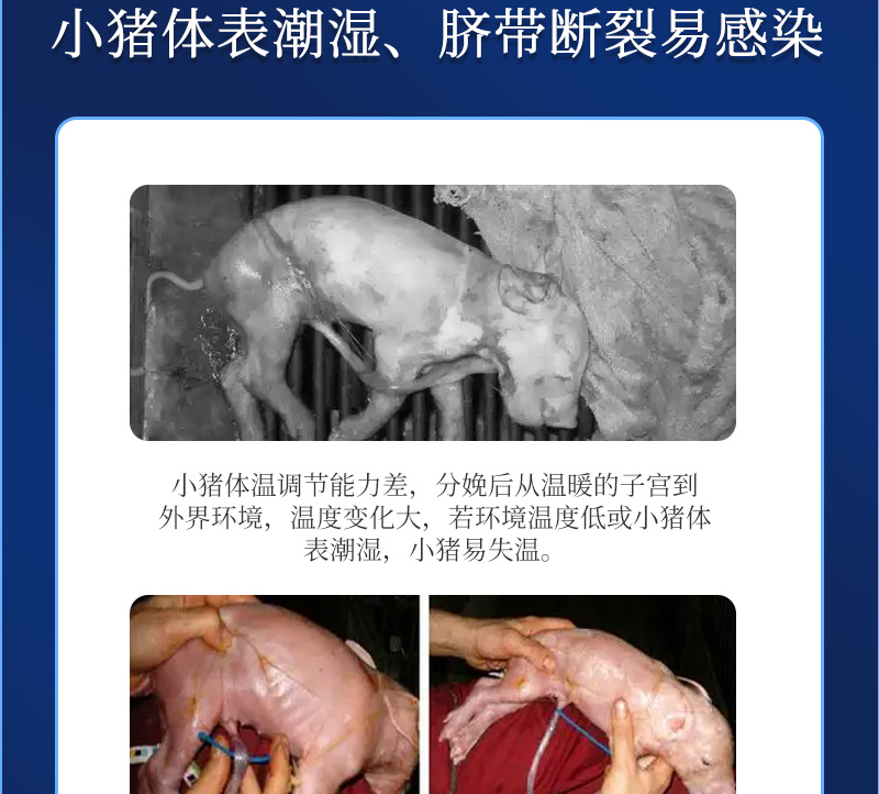 �ᱦ����_03