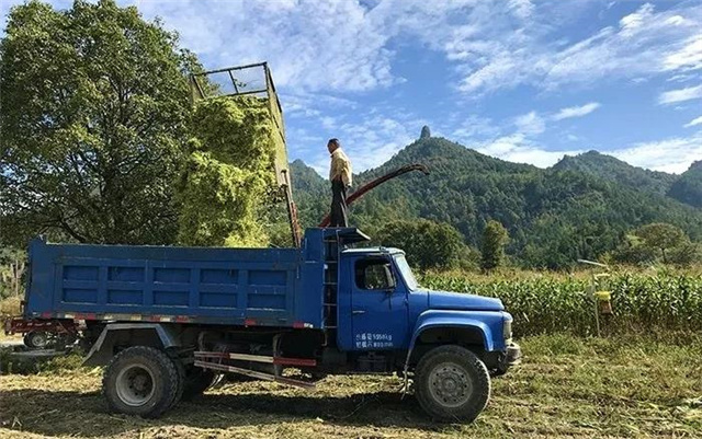 �������Ӽ�