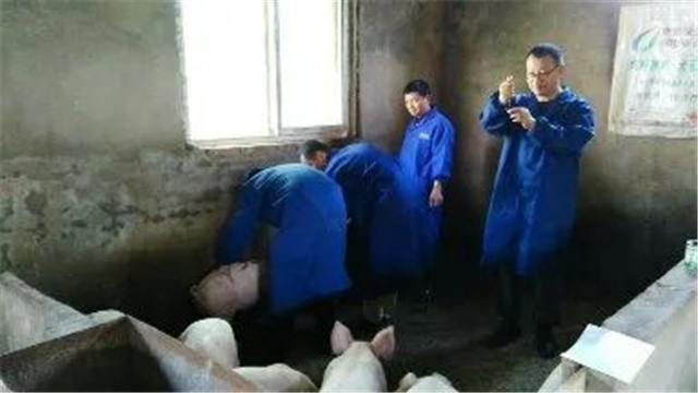 ���������Ӽ�