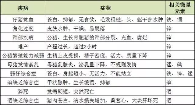 �������Ӽ�