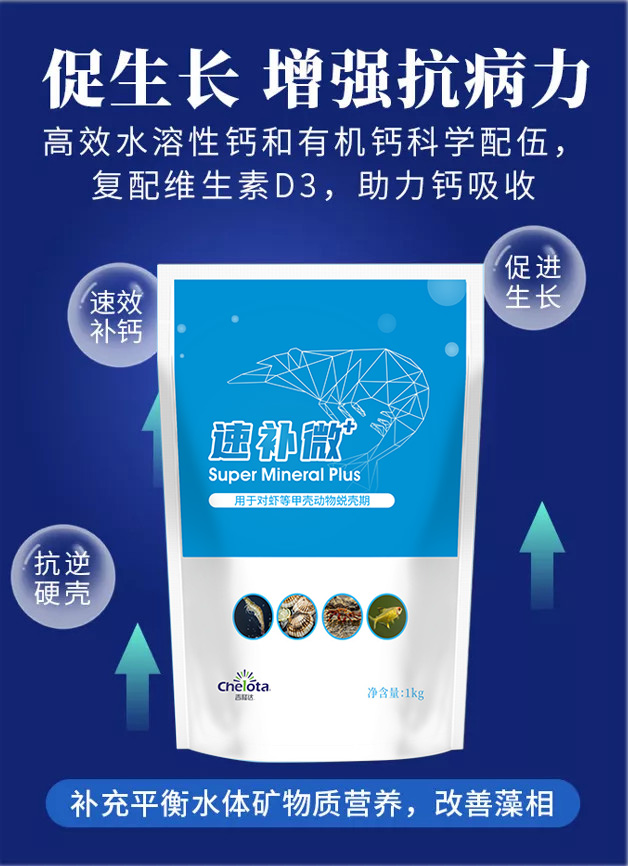 bbin��ӯ�ٲ�΢+