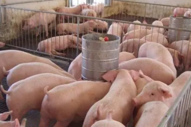 �������������Ӽ�