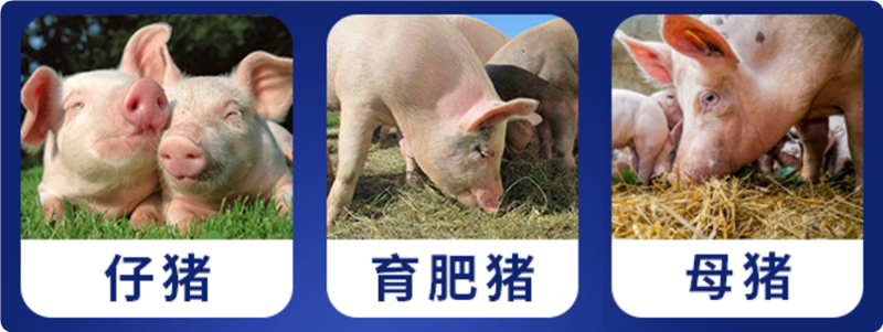 �����߷�bbin��ӯ������