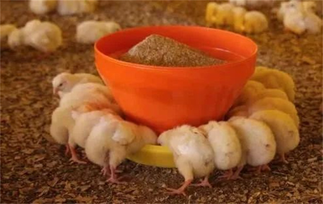 ������Ӧ��������