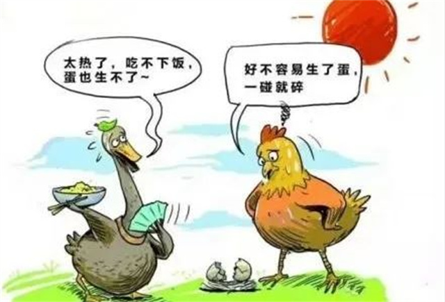 ������Ӧ��������