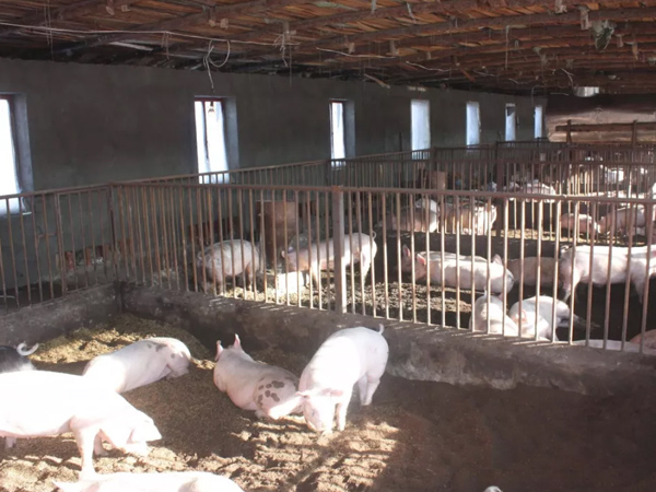 �������������������������������΢��Ԫ��Ԥ�������������