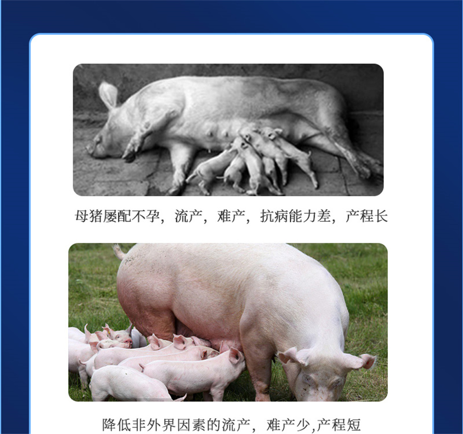 bbin��ӯ�������������Ӽ�����Ѫ��Ʒ����