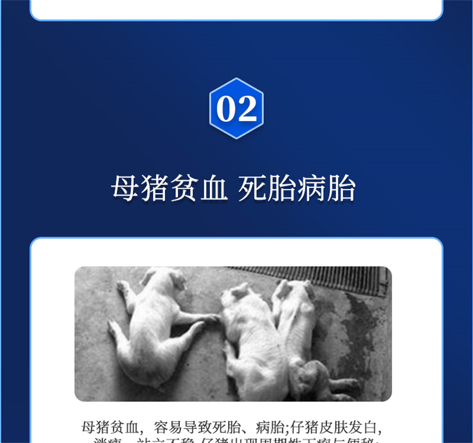 bbin��ӯ�������������Ӽ�����Ѫ��Ʒ����