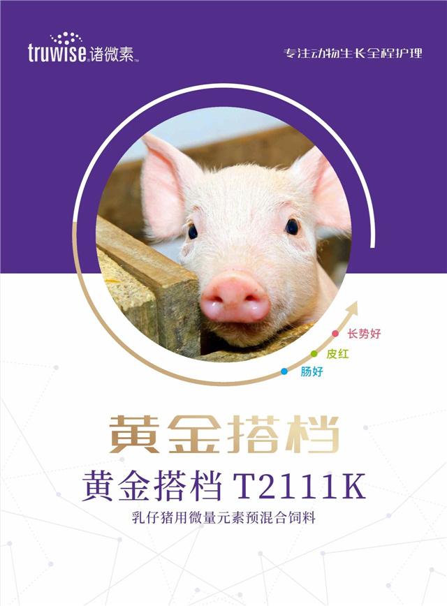 �������Ӽ�