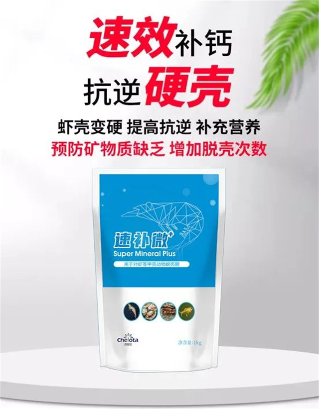 bbin��ӯ�ٲ�΢+