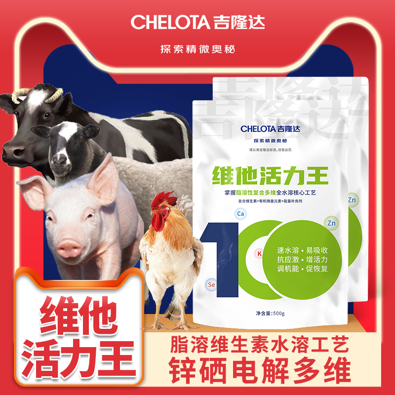 bbin��ӯ����ά��������