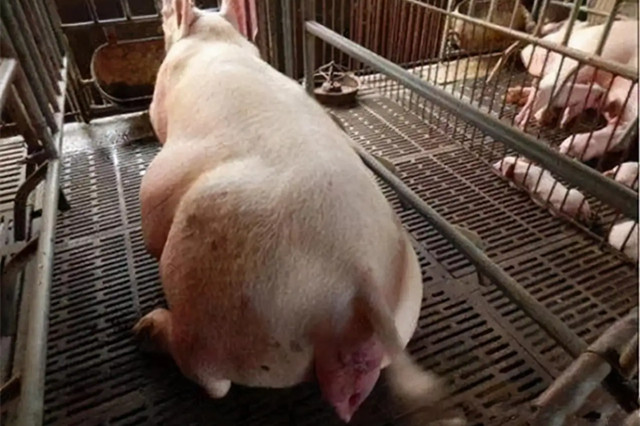 ĸ�����̹���������