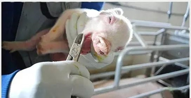 ������������ɻ��ʵ���������