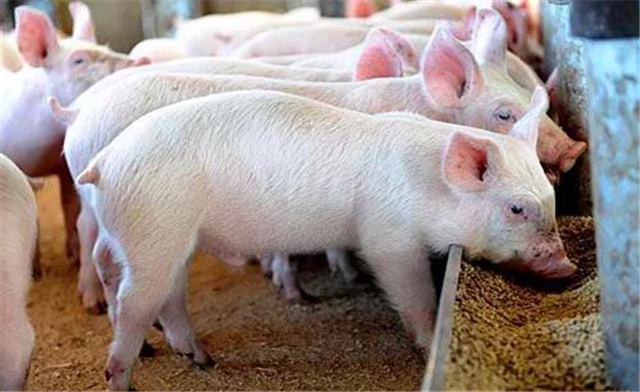 �������Ӽ�