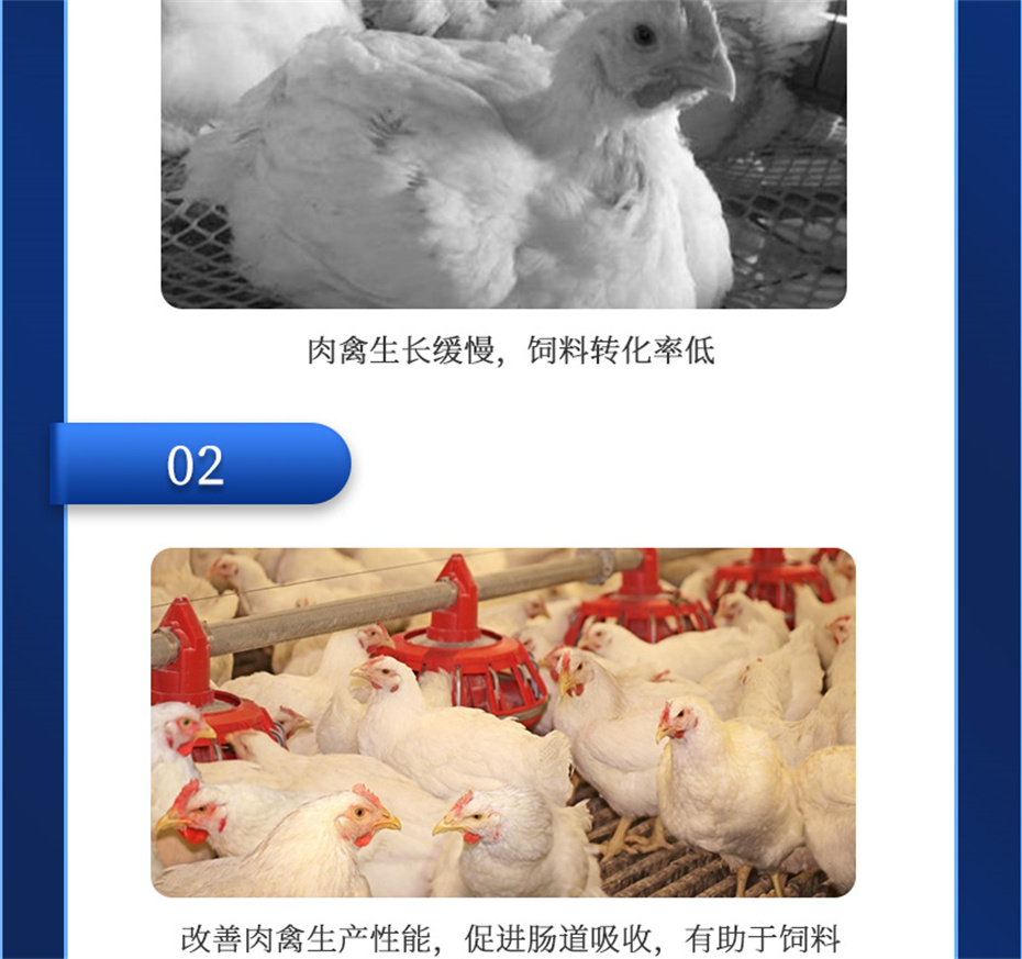 bbin��ӯ�������������Ӽ������ز�Ʒ����