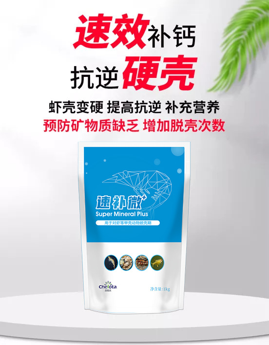 bbin��ӯ�ٲ�΢+