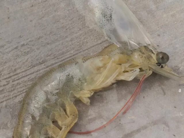 �����ϺӦ��