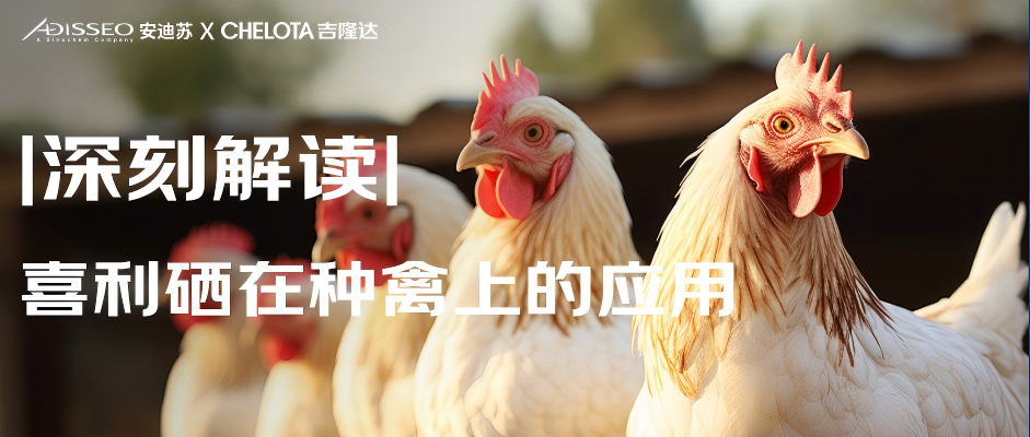 2025.03.27���ķ���