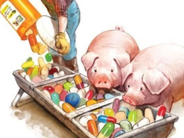 �������Ӽ�